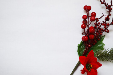 Christmas branch red on white background