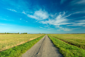 Gravel road through meadows and blue sky
