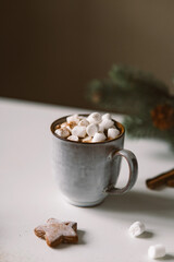 Hot cocoa with marshmallows in a Christmas atmosphere with gingerbread