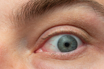 Caucasian male Blue eye macro close up shot