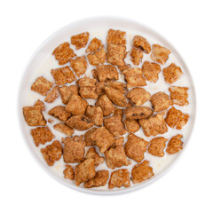 Crispy pads chocolate flakes in milk isolated on the white background