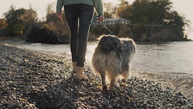 A woman walks with a dog at the shore of the lake, walking near the water's edge. The sun illuminates the waves and splashes of water