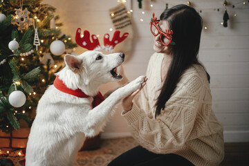 Stylish happy woman in cozy sweater playing with adorable dog under christmas tree with gifts and lights. Cute white dog giving paw to young female in festive accessories in room. Happy Holidays!