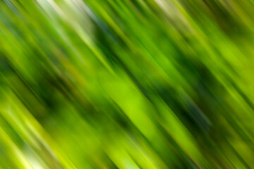 Abstract green background based on a real photo of mine