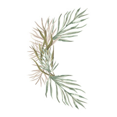 Watercolor dry tropical leaves on white background