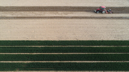 Obraz premium Farmers use planters to plant mulched peanuts, aerial photos, North China