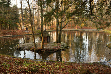 autumn pond in the park