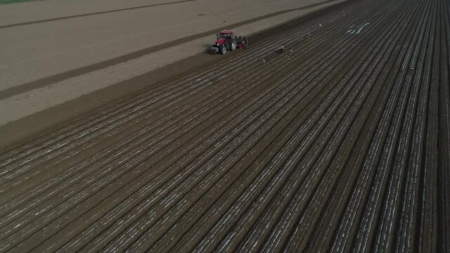 Farmers use planters to plant plastic coated peanuts on farms, North China