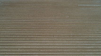 Plastic film peanut field, North China