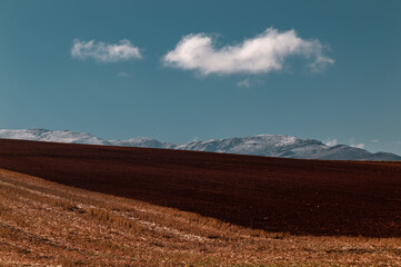 Obraz premium Landscape of field in autumn against sky. Shot in Castilla y Leon, Spain