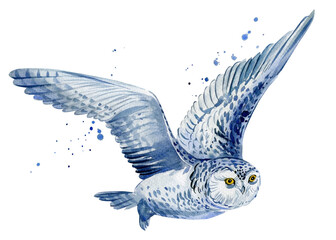 Cute white owl flies on isolated white background watercolor illustration