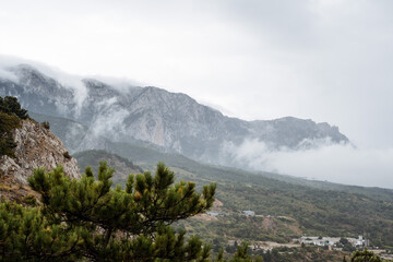 Atmospheric mountain landscape. The mountains are covered with fog, which descends into the valley....