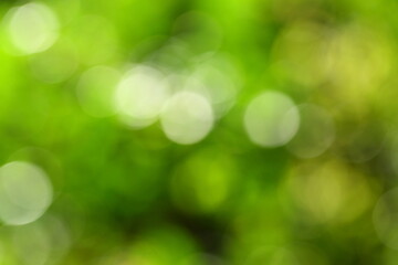 Fresh organic nature abstract  background.