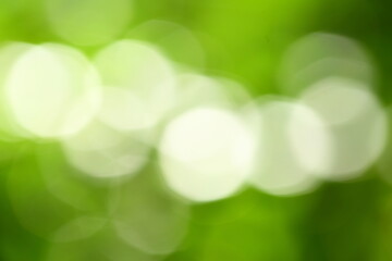 Obraz premium Fresh organic nature abstract background.