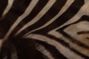 Cloth with a print of tiger stripes close-up. Drawing on the fabric of a tiger skin.