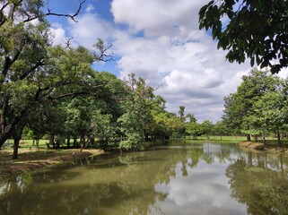 lake in the park