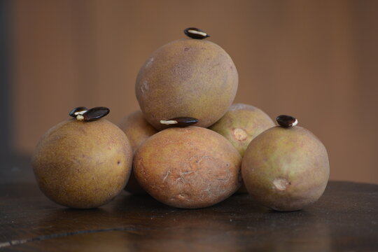 Manilkara zapota, commonly known as sapodilla, sapota, chikoo, chico, naseberry, or nispero, Sawo is a long lived, evergreen tree and sweet fruit.
