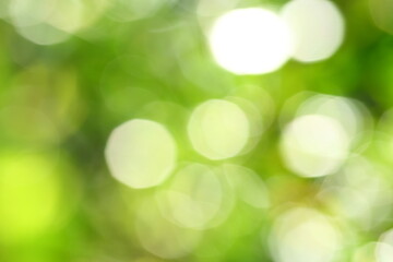 Obraz premium Abstract nature backgrounds concepts, wilderness 