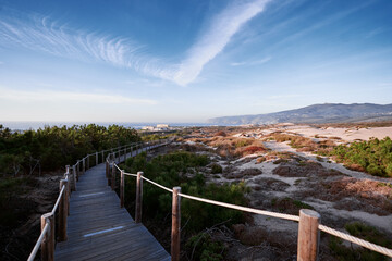 Fototapeta premium Wooden pedestrian walkway through Sintra-Cascais natural park. Wild sandy landscape, with part of Cresmina Dunes. Beautiful scenery in Portugal.