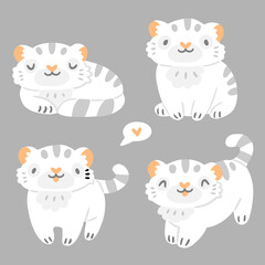 Children's set with cute little white tiger animals in a cartoon style. Cartoon kittens isolated on background. Illustration with chinese tiger.