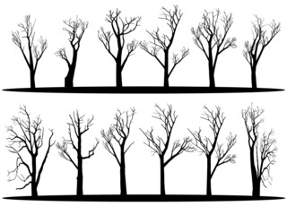 vector illustration set Dry bare tree silhouette with no living leaves. Dead wood. Hand drawn damaged environment. isolated on a white background