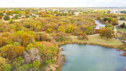 Fototapeta na wymiar Aerial forest view residential subdivision and bright beautiful fall foliages colors suburbs Dallas, Texas, USA