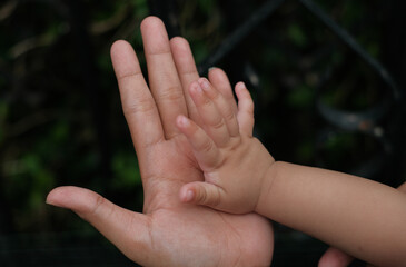 baby's palm touching mother's palm