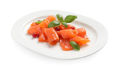 Salmon carpaccio with cranberries and basil isolated on white