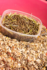 basical muesli and granules for  horses  served in pink bucket. close up . feeding and horse care concept. top view