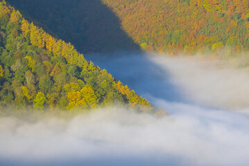 Mists on the trees in autumn, Endara reservoir, Navarra, Spain