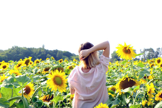 A slender woman in a light linen shirt stands with her back in a field of sunflowers and touches her hair and head. Field with ripe yellow sunflowers. Mental health. Summer landscape.
