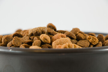 Bowl of cat food close up
