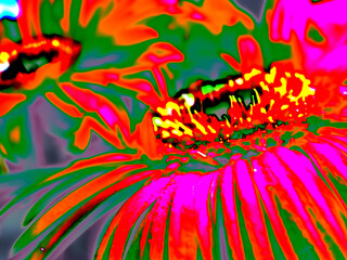 Abstract Macro Illustrations of Plant Life