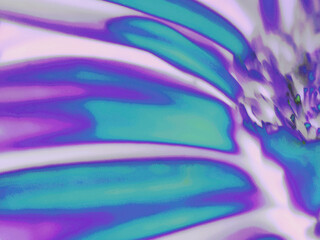 Abstract Macro Illustrations of Plant Life