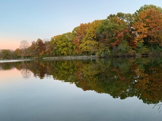 autumn trees reflected in water