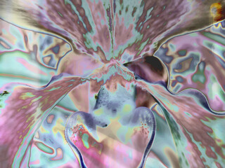 Abstract Illustration Backgrounds in Color 