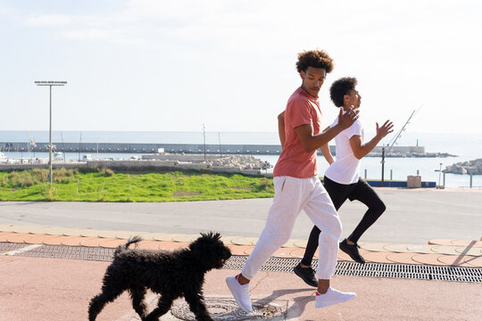 Black Friends Jogging With Dog During Outdoor Training