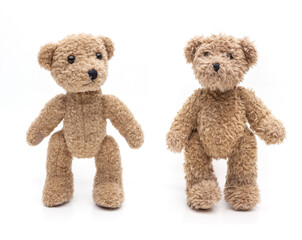 Zwei Teddybären stehend auf weissem Hintergrund