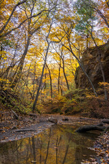 Fall reflection in Ottawa canyon.  Starved Rock state park, Illinois.