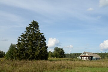 Residential wooden house in the village of Konyukovo, Yaroslavl region