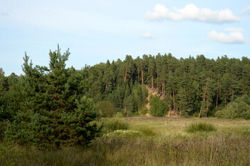 Summer landscape at Babya Mountain at the junction of Yaroslavl, Ivanovo and Vladimir regions