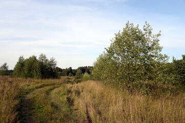 Summer landscape at Babya Mountain at the junction of Yaroslavl, Ivanovo and Vladimir regions