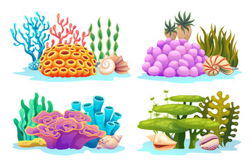 Set of underwater coral reefs, algae, seaweed and seashells in various types cartoon illustration © YG Studio