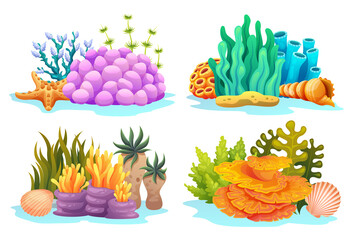 Collection of coral reefs, algae, seaweed and seashells in various types cartoon illustration