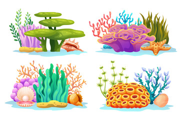 Colorful undersea coral reefs, algae, seaweed and seashells in various types cartoon illustration
