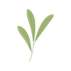 Obraz premium leaves nature icon