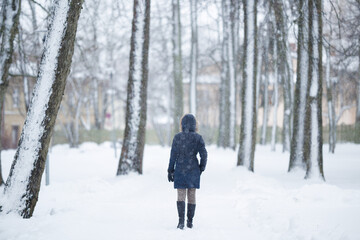 Fototapeta na wymiar Young adult woman slowly walking through alley of trees in white snowy winter day at park. Fresh first snow. Spending time alone in nature. Peaceful atmosphere. Back view.