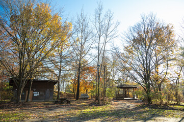 秋の芥子坊主農村公園　松本市