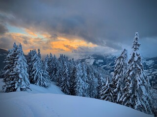 Coucher de soleil à la Rosière en Savoie avec de la neige fraîche sur les sapins