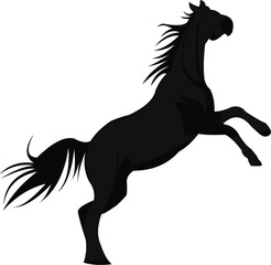Fototapeta na wymiar black horse